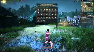 Lets Play Black Desert Online Kunoichi Gameplay