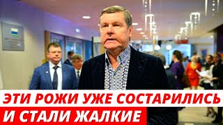 "Одни и те же рожи": Новиков разгромил звезд шоу-бизнеса