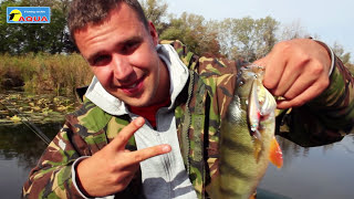 Воблер AQUA KLOSS