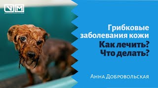 Грибковые заболевания кожи. Как лечить? Что делать?