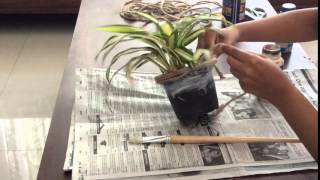 DIY Tutorial: Upcycle Flower Pots & Wine Bottles Using Twine/Rope