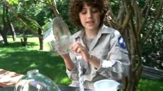 Insect Lore's LadyBug Land Review