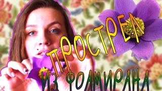 ЦВЕТОК ПРОСТРЕЛ из фоамирана