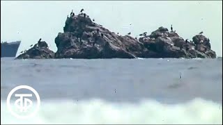 На дымящихся островах. Курильские острова. Вулкан Тятя (1973)