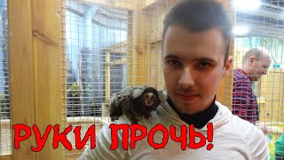 Контактный зоопарк Зверополис в Киеве! Отзыв и обзор!