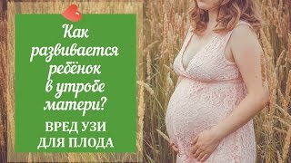 Как развивается ребенок в утробе матери. Вред УЗИ для плода - профессор Григорий Брехман