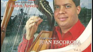 Mi Amigo el Camino - Arpa Llanera Instrumental Juan Escorcha