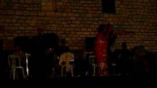 POIOS EINAI EKSO APO SPITI MOU  BAGGELIO XRISTIA,KLARINO KOSTAS KAKKOS KAMPI ARTAS 02/07/2009