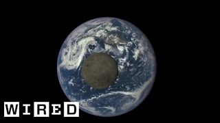 Earth's Selfie Satellite