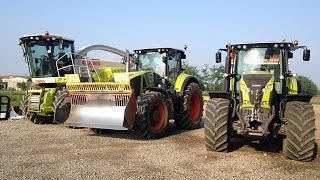 CLAAS JAGUAR 970 AT WORK - CHOPPING CORN  - TRINCIATURA MAIS