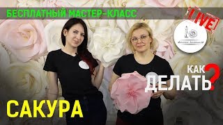 САКУРА ИЗ ИЗОЛОНА! Мастер класс!
