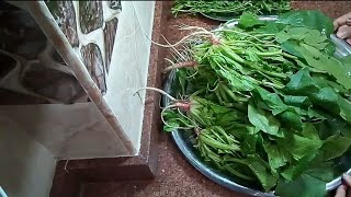 طريقة تخزين وتفريز السبانخ/مطبخ نجوى