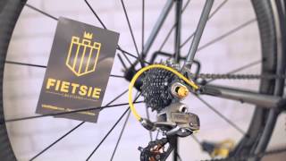 Een 25 EPS portret: Fietsie