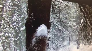Snow storm dumping down snow Northstar Lake Tahoe Wednesday 1/4/2017