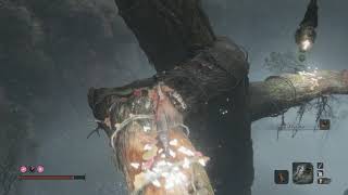 Sekiro: Shadows Die Twice - Hidden Forest: Clear Mist & Spirits: Mist Noble Fight, Grave Wax (2019)