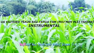 UA VAJTSWV TSAUG RAU TXHUA YAM  NOJ MOV NPLEJ TSHIAB INSTRUMENTAL