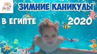 Зимние каникулы в Египте: купание с морскими рыбками. Обзор отеля Royal Grand Sharm 5* - ч. 1