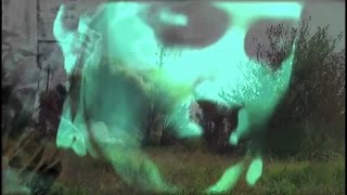 Skies Of Mercury - Skin Don't Lie (Official Music Video) New unsigned band up and coming rock 2016