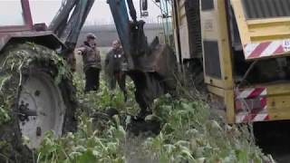 Агрофирма "Нижегородская"  Холдинговая компания АкБарс. Лицом к лицу с природой 2013 год