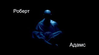 Роберт Адамс - Что будет, если я не достигну пробуждения. Сатсанг
