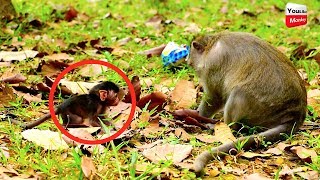 The mother still doesn't want the new baby near her