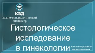 564  Гистологическое исследование в гинекологии