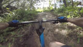 Alafia 9-30-2018 - North Creek