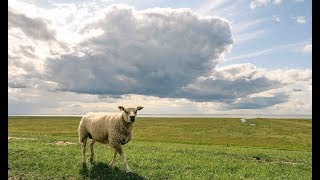 WELT WETTER: Der Herbst ist da