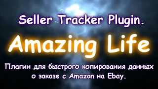 Seller Tracker Plugin.Плагин для быстрого копирования данных о заказе с Amazon на Ebay.