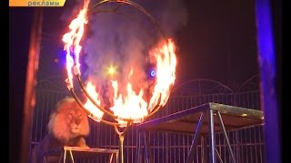 Грандиозное шоу мирового уровня в Старом Осколе!