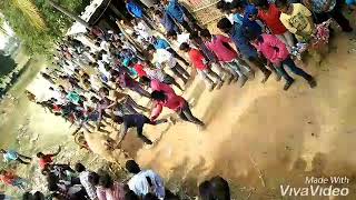 Komaragunta jallikattu 2019 (pasuvula pandaga)