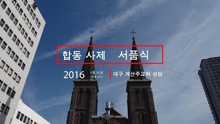 2016년 작은형제회,꼰벤뚜알 프란치스코 수도회 합동 사제 서품식
