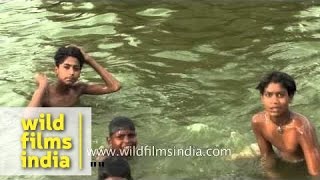 At 47 degrees Celcius outside, boys take a dip: Delhi