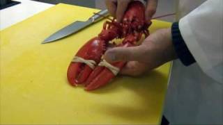 How to prepare a Lobster