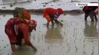 जिल्ला प्याकेज - NEWS24 TV