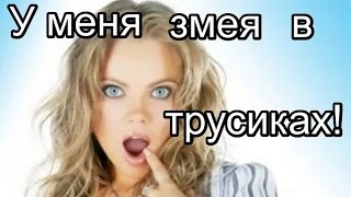 Как змею из трусов доставали. Опасный и забавный случай на природе.
