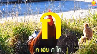 เพลง ก เอ๋ย ก ไก่ มีเนื้อร้อง ตัวเป็นๆ ตัวจริงๆ Thai Alphabet Karaoke