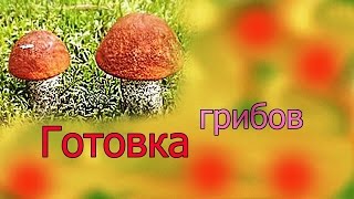 Готовка грибов: зонтики, трубчатые, опята. Заготовка на зиму.