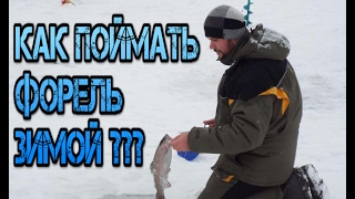 На что ловить форель зимой. Пособие для начинающих