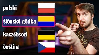 Silesian Dialect | Can Czech, Kashubian and Polish understand? | #1