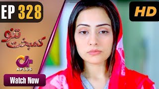 Pakistani Drama | Kambakht Tanno - Episode 328 | Aplus Dramas | Nousheen Ahmed, Ali Josh