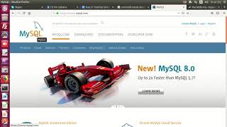 LEMP (Linux, Nginx, MariaDB, Php)