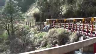 宜蘭太平山森林遊樂區-蹦蹦車
