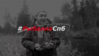 Рыбалка. Форель. Хариус.  Большой улов  Разрушение мифов!!!