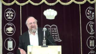הרב ברוך רוזנבלום פרשת במדבר 9 תשע״ה Rabbi Baruch Rosenblum