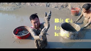 Tát ao ở miền tây bắt cá mệt xỉu - trải nghiệm bắt cá đồng quê/Catch snakehead fish