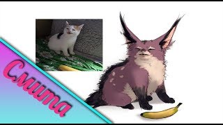 Лучший кават и лучший питомец??? || WARFRAME