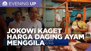 Jokowi Kaget! Harga Daging Ayam Menggila