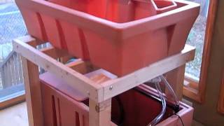 Indoor Home Aquaponics Setup Part 1