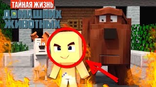 МУЛЬТИК ТАЙНАЯ ЖИЗНЬ ДОМАШНИХ ЖИВОТНЫХ В МАЙНКРАФТ | ДЕТСКИЕ МУЛЬТИКИ В МАЙНКРАФТ